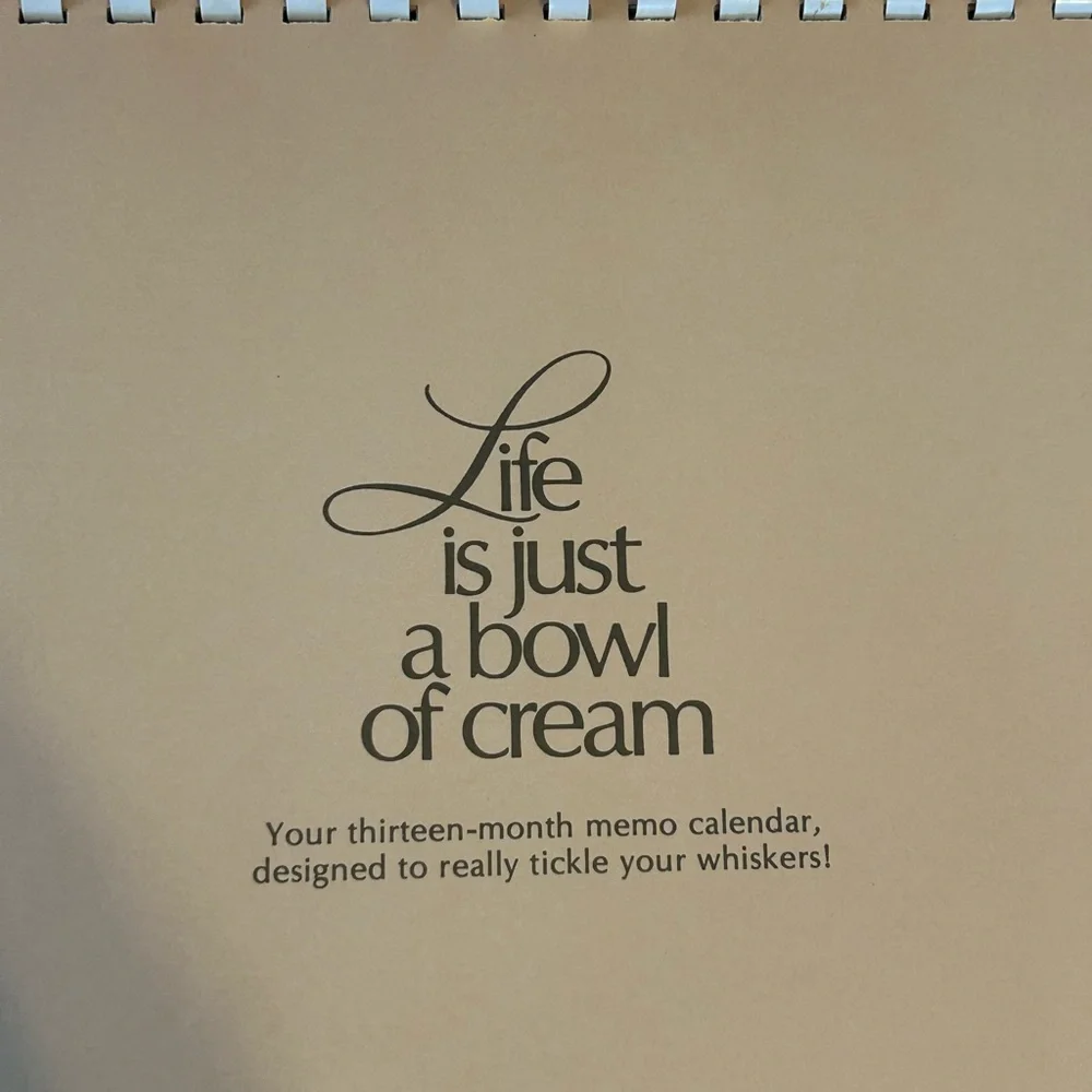VTG 1975 American Greetings Cat Kitten Memo Calendar Colorful Photos Spiral RARE